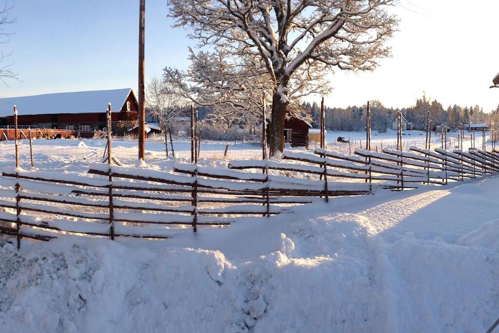 Winter time