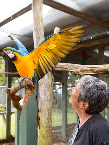 Parrot aktualizace Parrot aktualizace