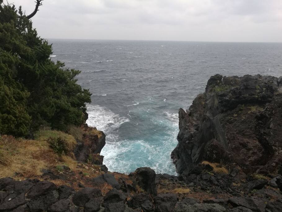 伊豆半岛毕业旅行 日本旅游攻略 尽在airbnb爱彼迎