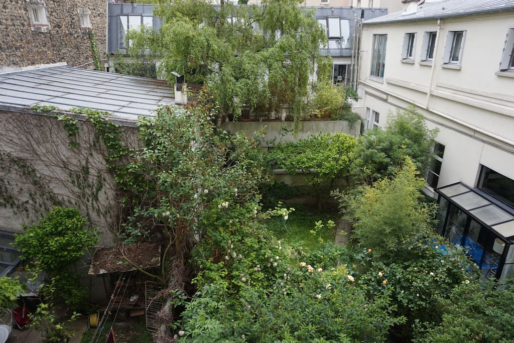 Garden view