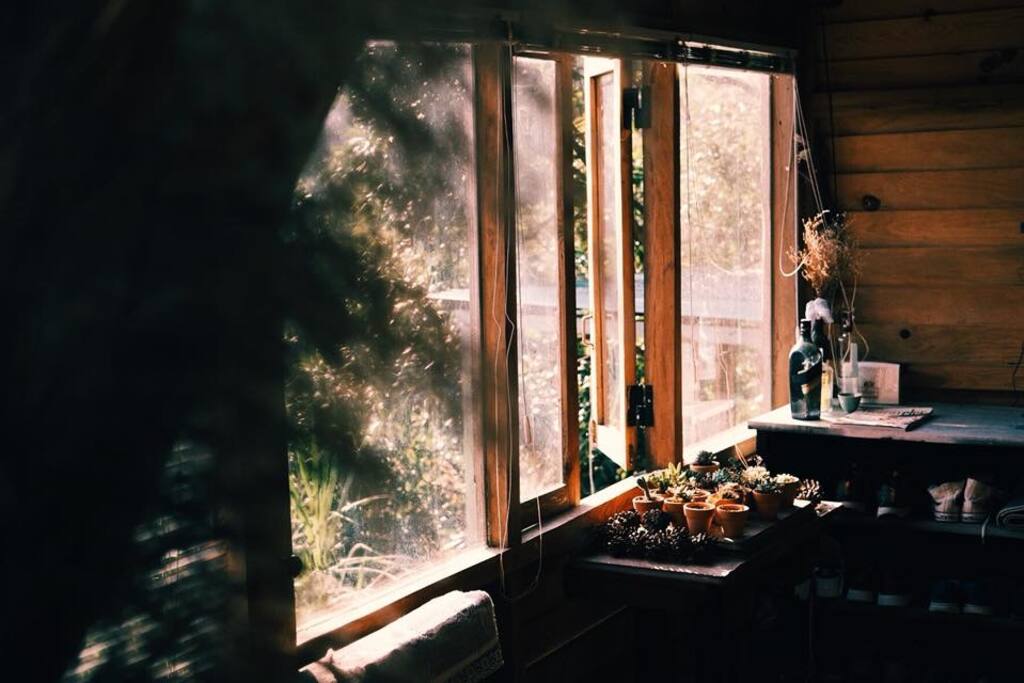 The sun is shining through triple bed room's windows