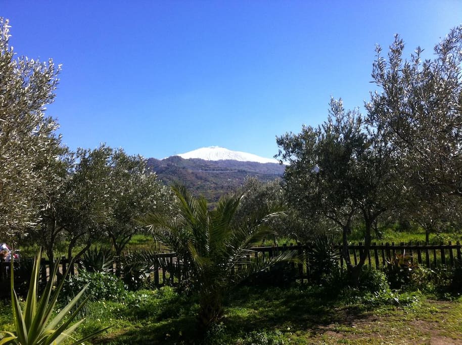 Vista: "Etna da Casa Cuntarati"