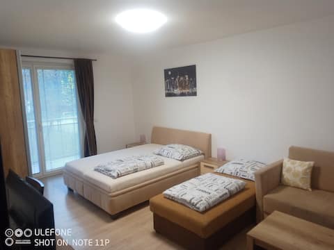 GUT1 modern apartm. 55m2 for 2 & families wash. m.