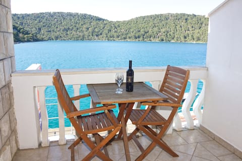 SANDRA   |   LUXURY APARTMENT