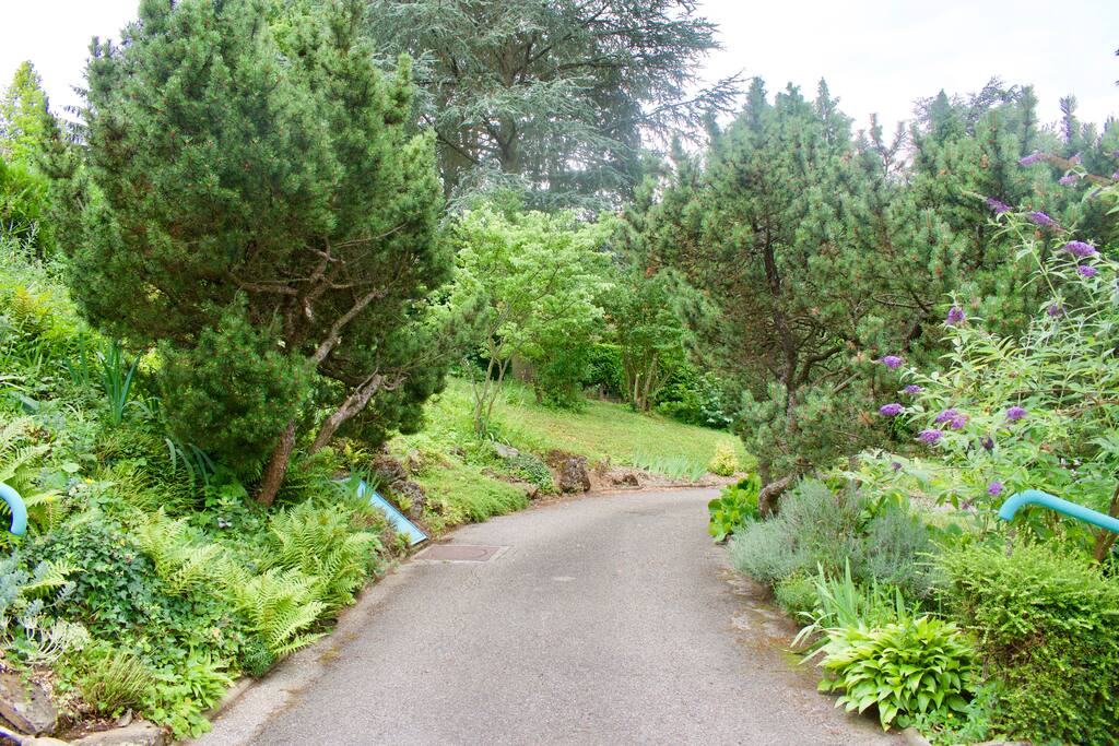Chemin d'accès