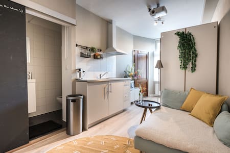 Fully renovated apartment in center with cinema