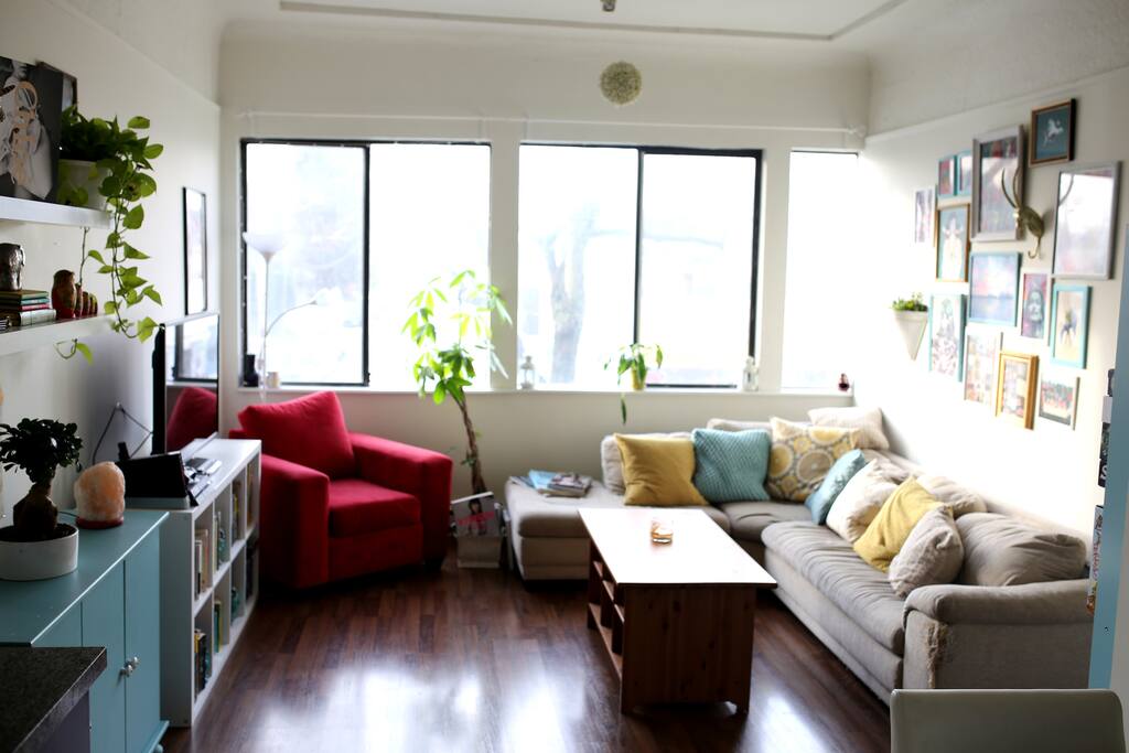 Bright and Cozy Living Room