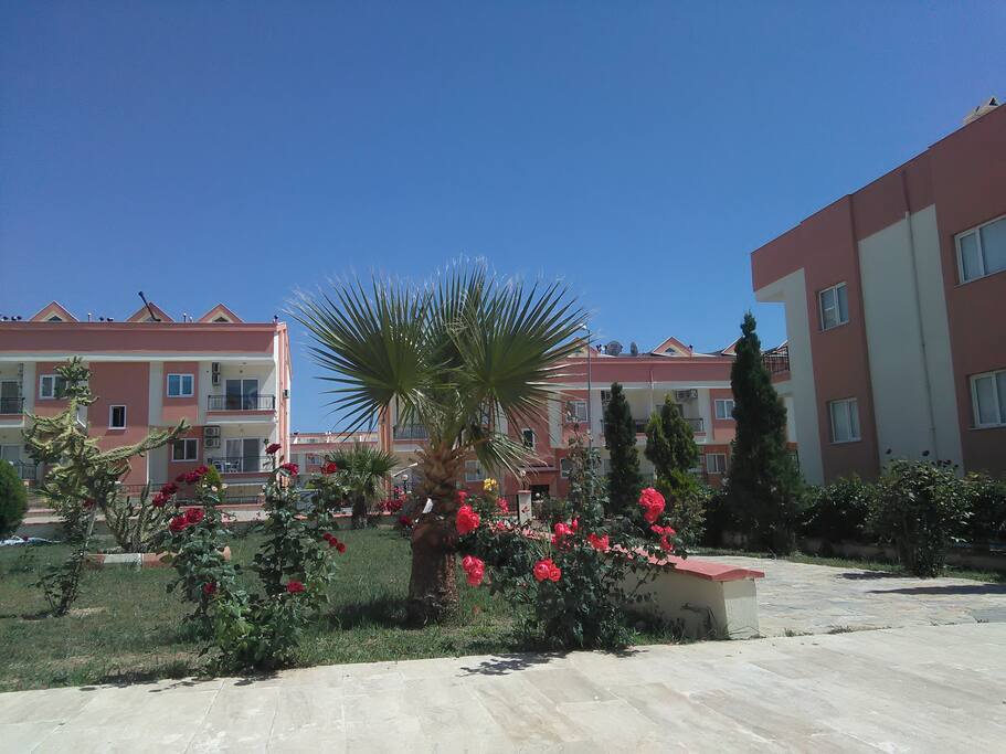 Apollon Holiday Village