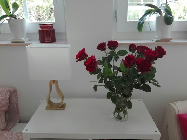 Cosy Charming Garden Sea House Cph Airport Malmö - Vellinge