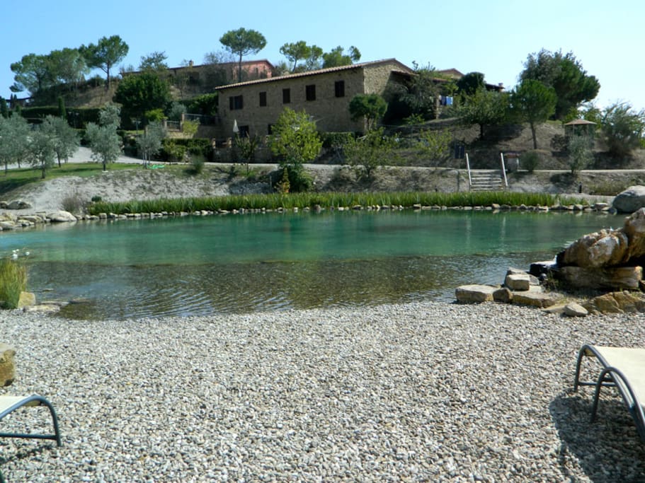 Biologo e Struttura