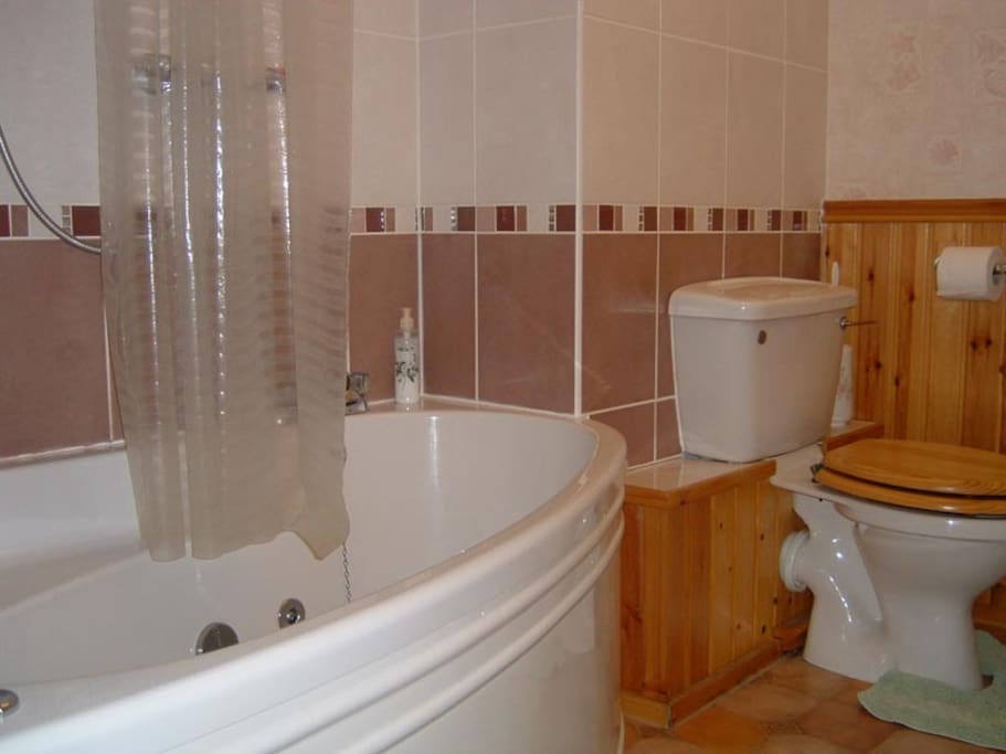 Spa bath with shower over in main bathroom.