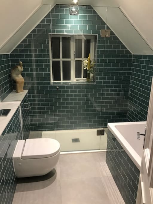 Large walk in shower and full size bath