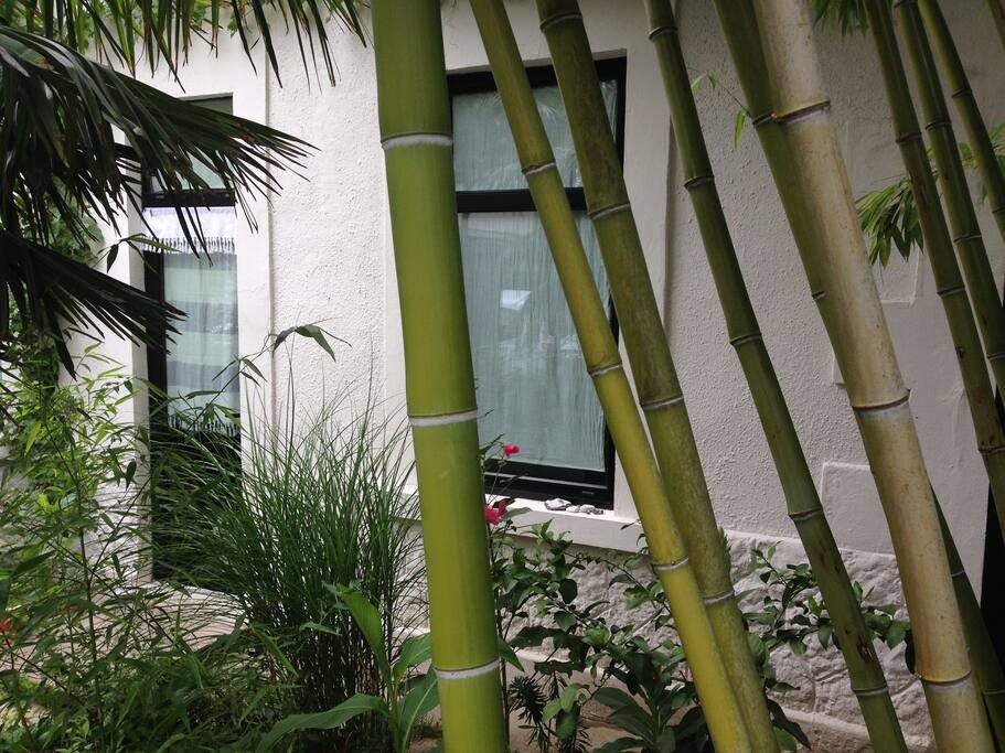 jardin d'accueil