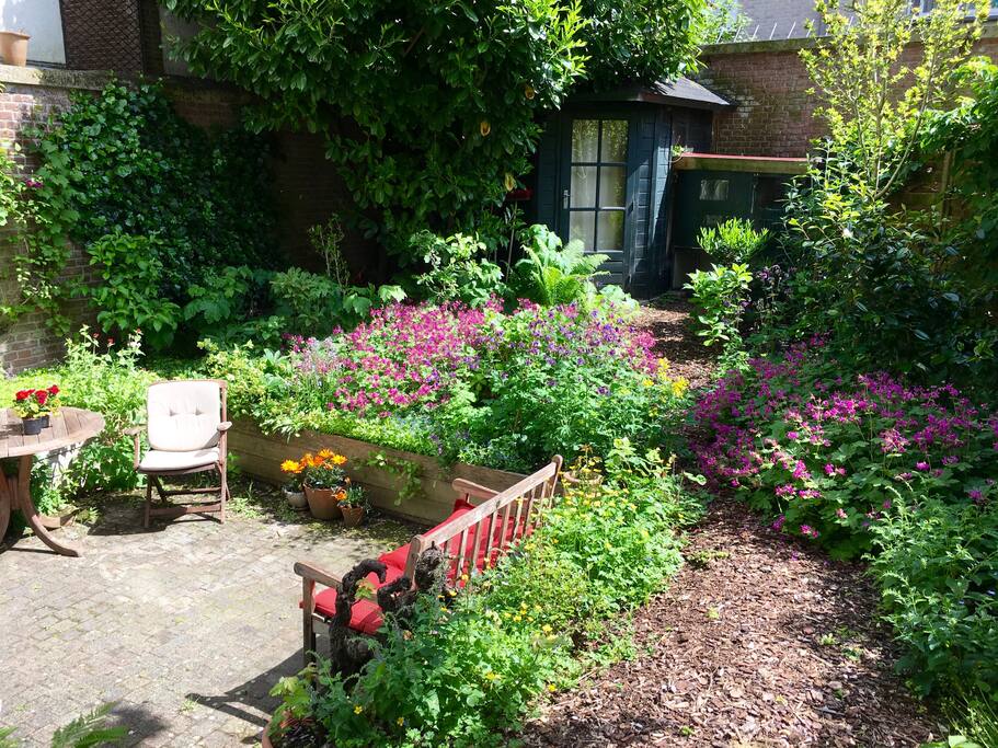 Sunny garden