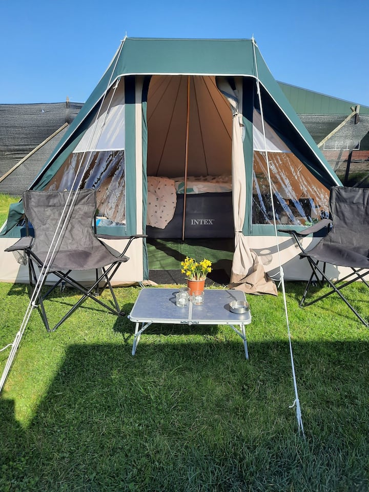 North Holland Tent Rentals - Netherlands | Airbnb