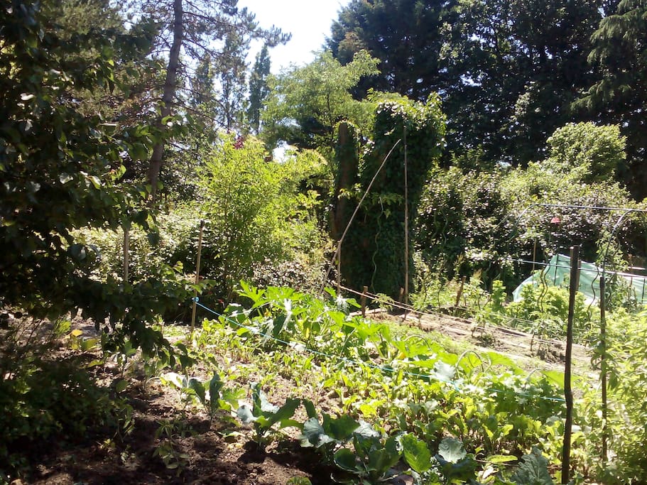 Potager