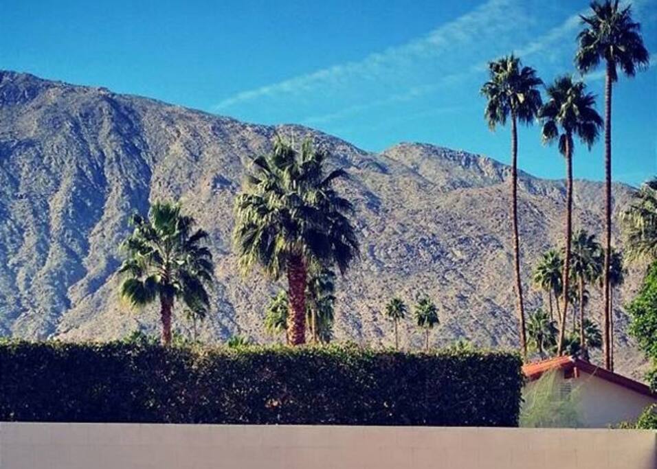 Spectacular mountain views