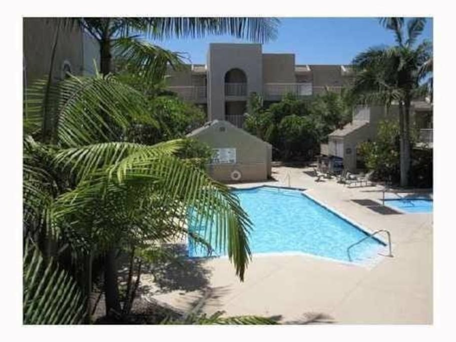The oasis pool & BBQ area with jacuzzi