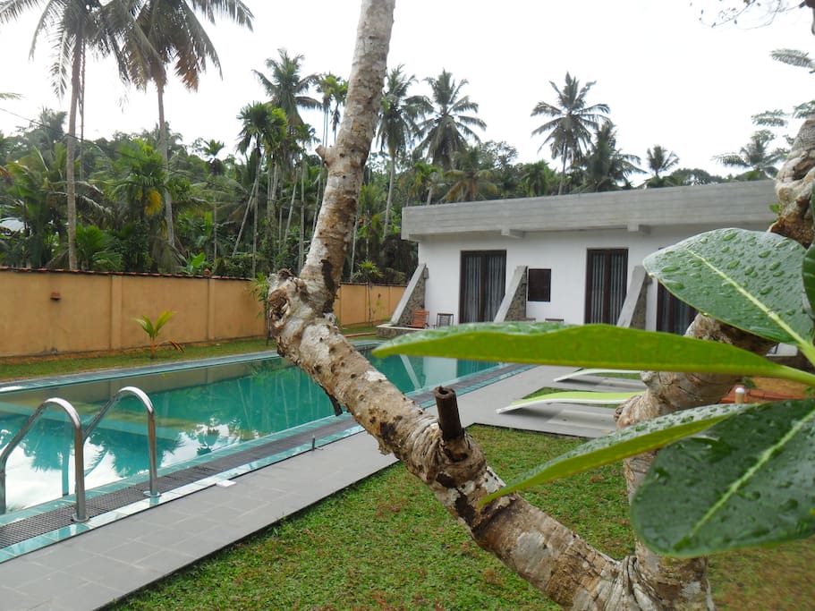 Pool And Out Side