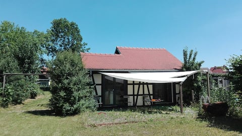 Top performing Airbnb: GH: GartenHaus 4+x Pers: Summer courtyard Spreewald in Lübbenau/Spreewald