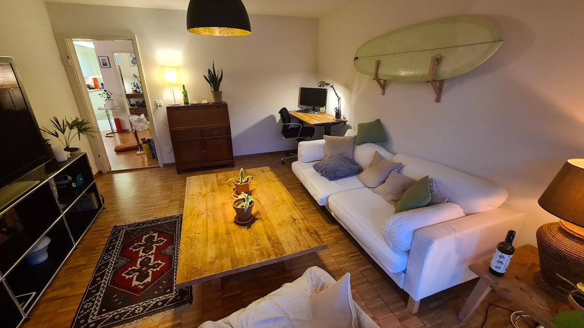 Top performing Airbnb: Spacious 2 BR near city center in Wipkingen