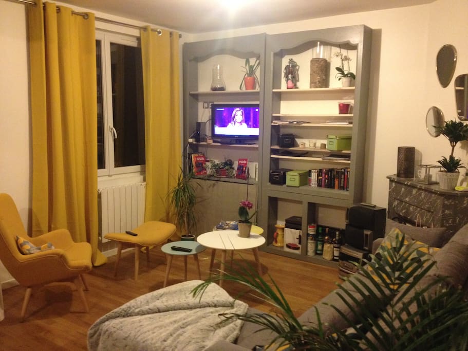 le salon de l'appartement