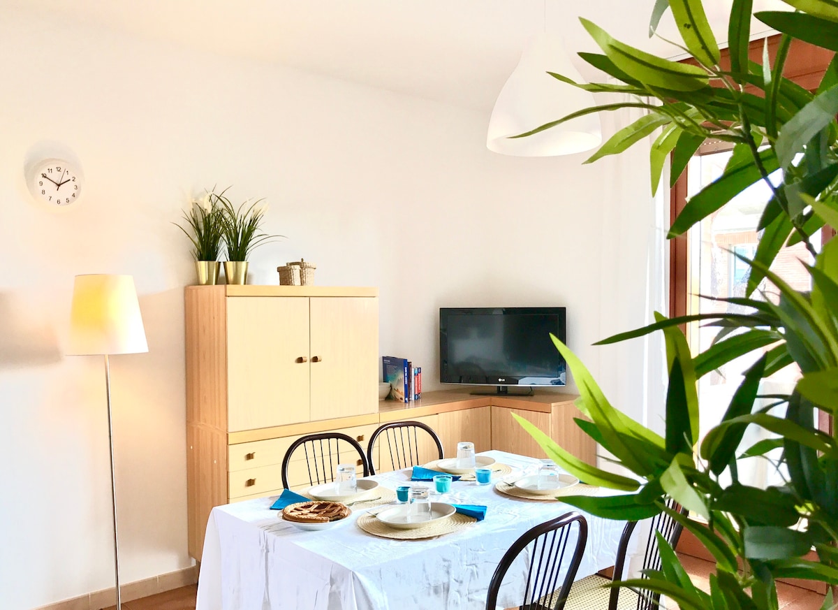 Successful Airbnb property: Charming apartment just steps from the sea in Cervia