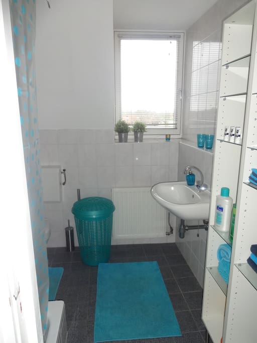 badkamer met douche, wastafel en toilet