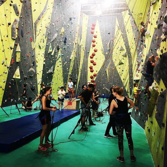 Sydney Indoor Climbing Gym St Peters adlı yerin fotoğrafı