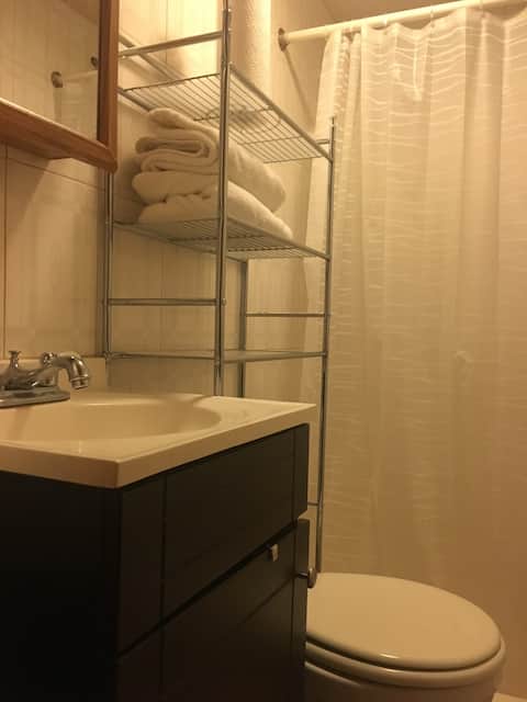 1 Bedroom Apartment by McCormick Place & Chinatown