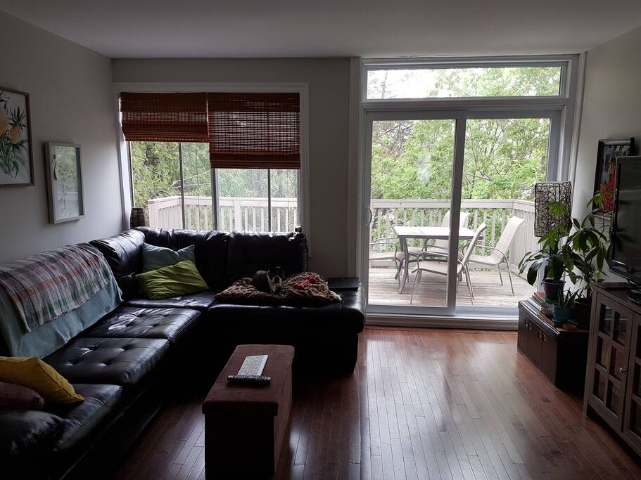 Shared living room