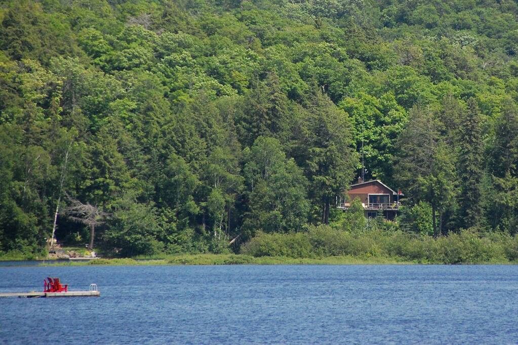 view from the lake