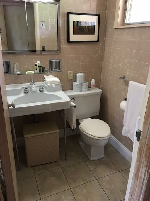 The private bathroom with shower includes shampoo, soap and towels.
