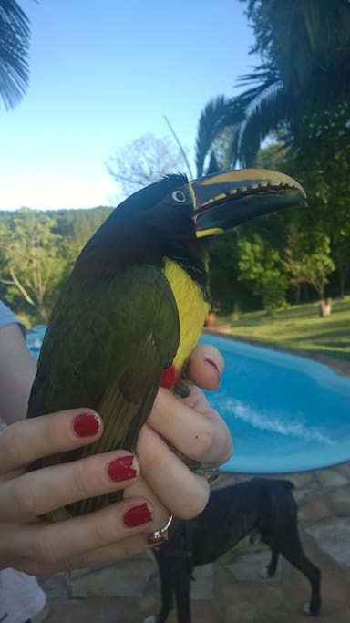 Convivir con la naturaleza un plus de nuestro entorno