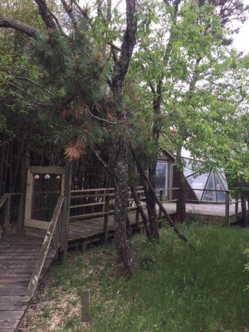 Dome house