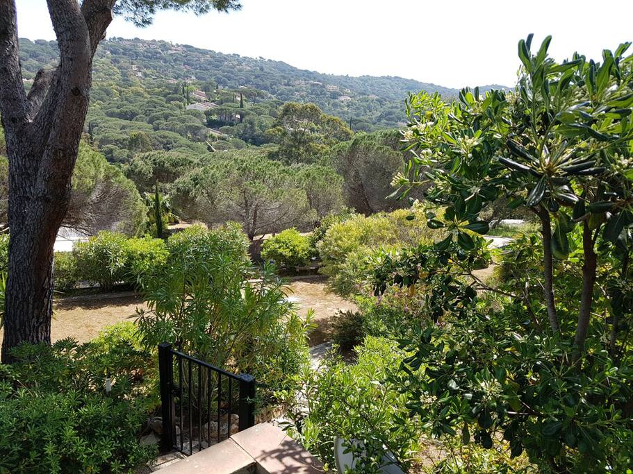 vue de la terrasse de la maison en direction du cap lardier