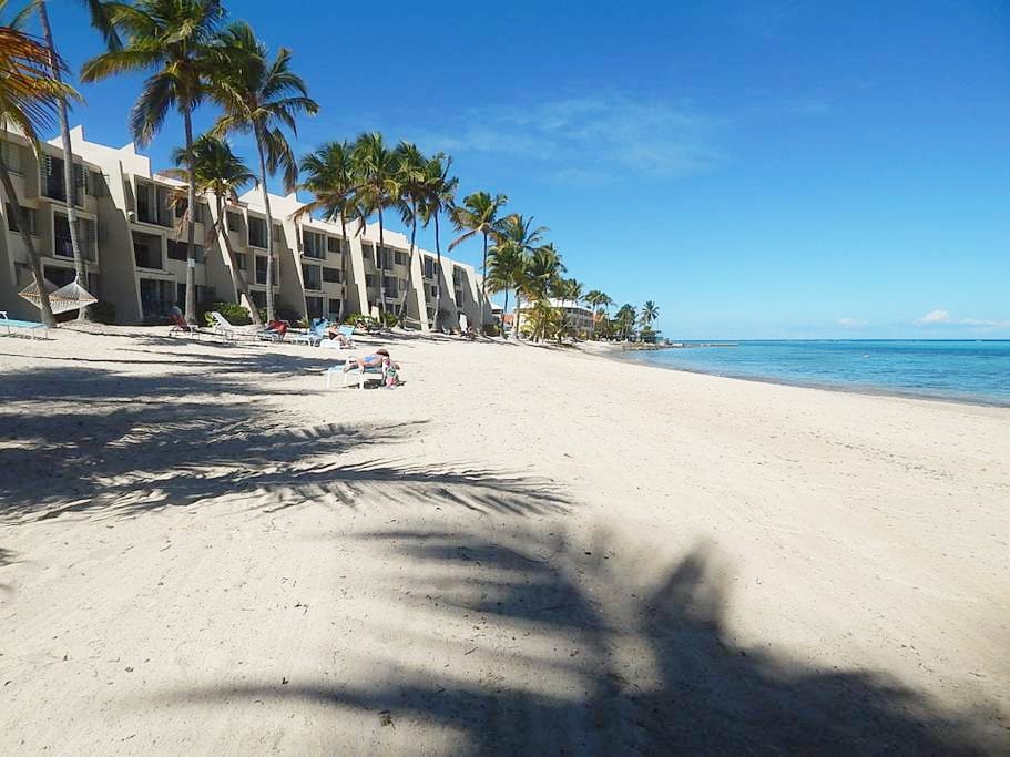 A serene beach scene shows soft, white sand extending towards clear blue waters. Tall palm trees line the beach, providing shade, while vacationers relax on loungers. The Sugar Beach Condominium buildings are visible in the background, harmonizing with the coastal landscape.