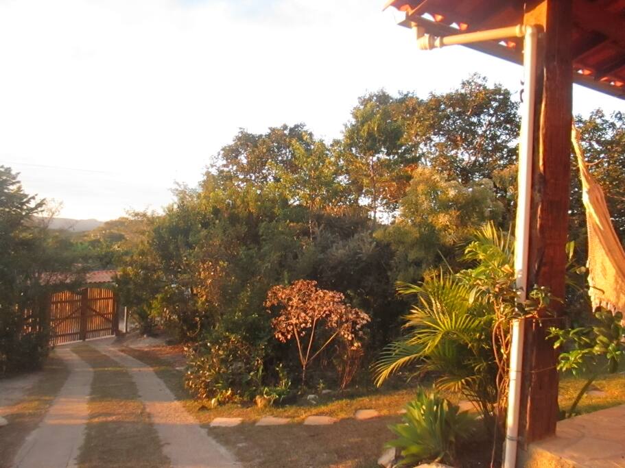 Frente do chalé, mato de plantas do cerrado.