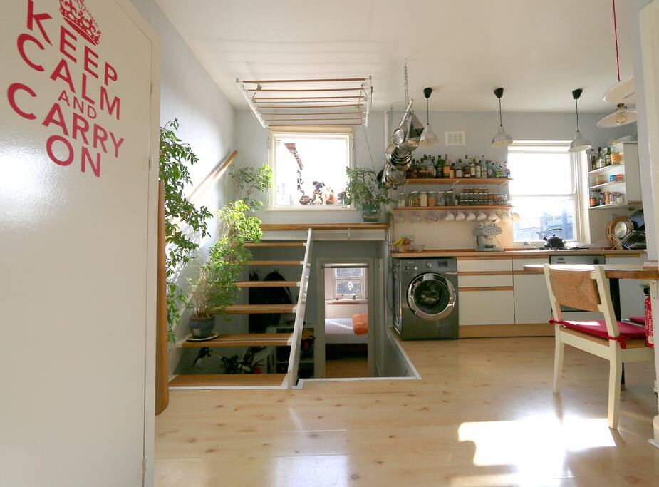 Open-plan kitchen & diner