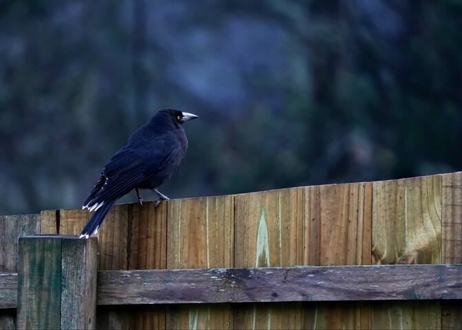Cradle Mountain lakeside Homestead gallery image 2