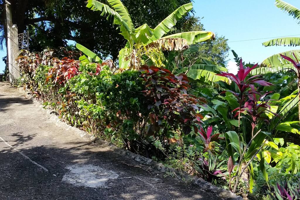 Private Road leading to the apartment
