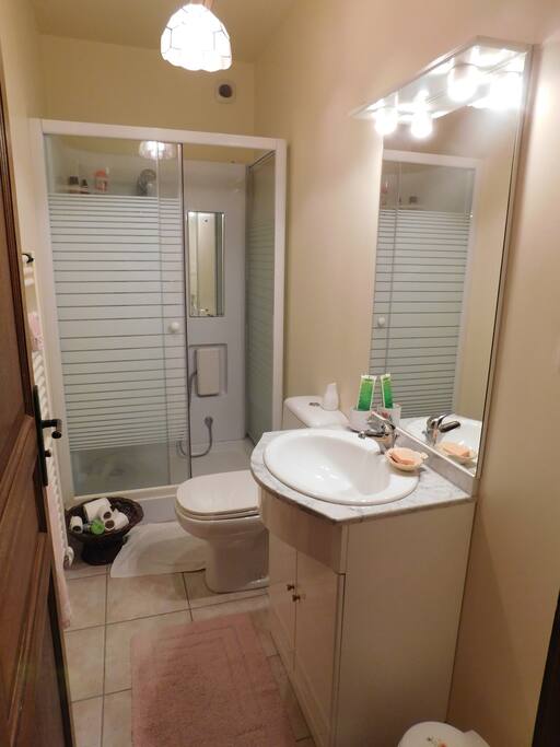 La salle de bain, située à côté de la chambre à coucher, vous sera entièrement réservée.