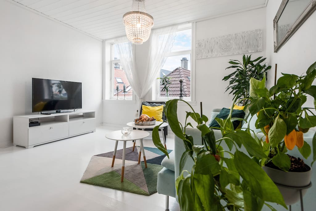 Livingroom with view