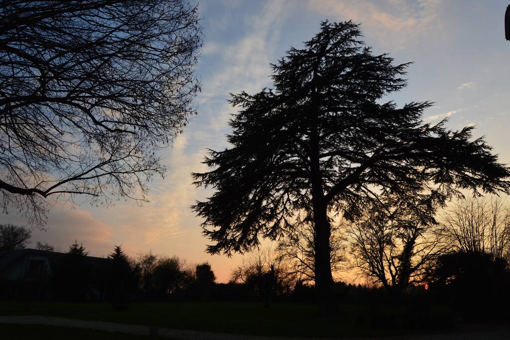 couché du soleil