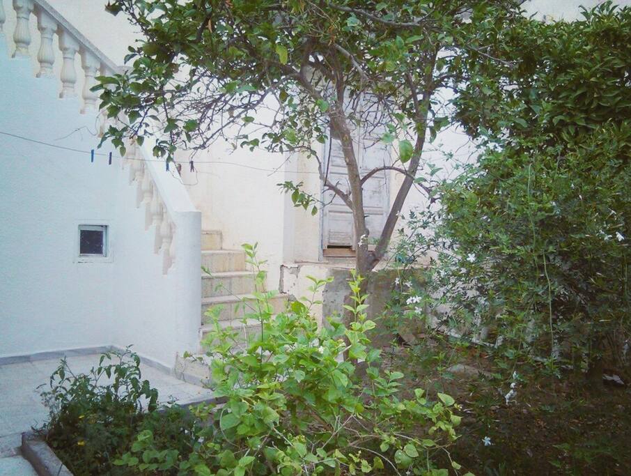 petit jardin
