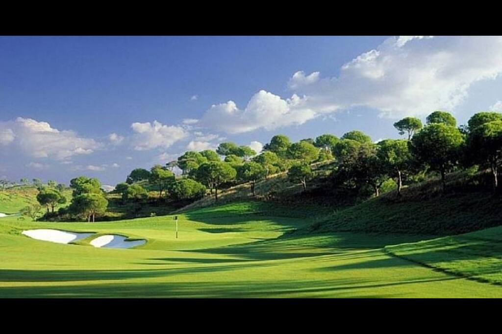 36 Holes Arnold Palmer Design
