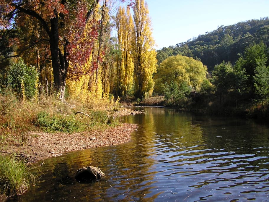 The heritage Howqua River