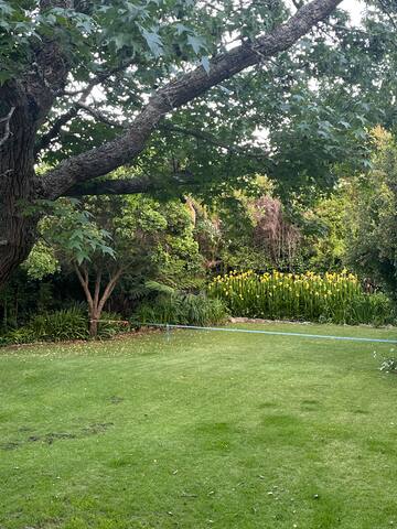 Character Family Home, Claremont gallery image 5