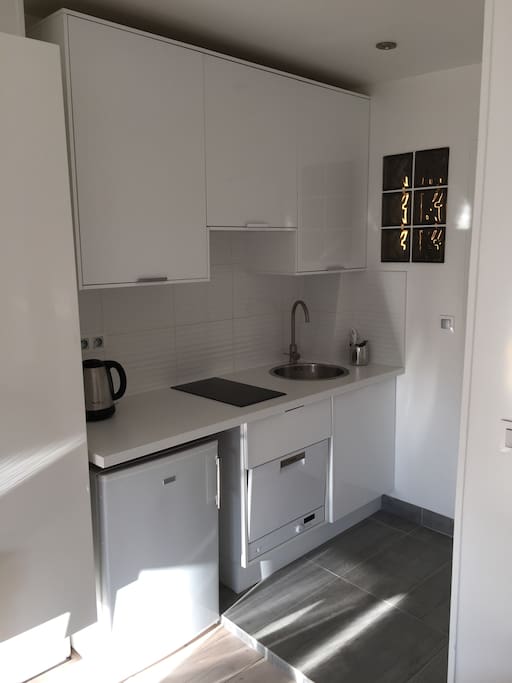 All functional kitchen with dish washer, fridge and induction cooker