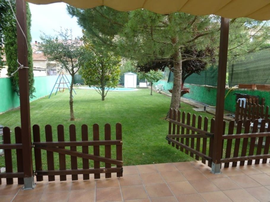 Yard and back patio